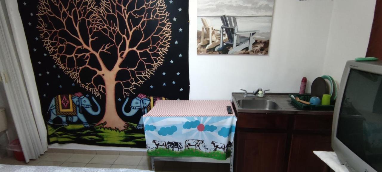 Zorobaru Casa Apartment San Jose  Luaran gambar